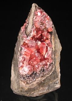 Minerals (new) (warm...