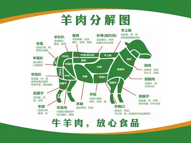 排酸牛肉分解图 挂图 牛肉部位分割表 展...