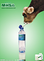 牛奶 梅花山 牛 绿色 农业 矿泉水可用作牛奶海报背景 宣传绿色农业背景