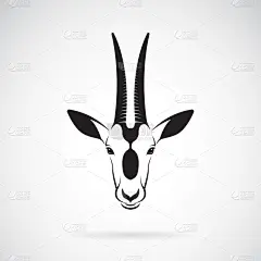 白色,弯角羚羊,动物头,式样,分离着色,轮廓,自然,动物园,野生动物,哺乳纲