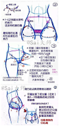 绘画学习超话 

女性腰胯的画法技巧，利用参考线来攻克人体难点，记录学习~ ​​​​