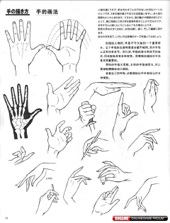 旅行走丢的猫采集到人物的画法