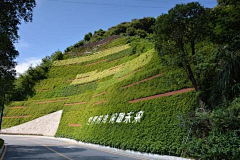 好心情的怪兽采集到边坡