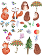 森林动物可爱温馨儿童手绘植物狐狸刺猬数水彩插画png素材模板-淘宝网
