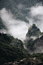Clouds, forest, fog and scenic HD photo by Ren Ran (@renran) on Unsplash : Download this photo in Tongren, Guizhou, China by Ren Ran (@renran)