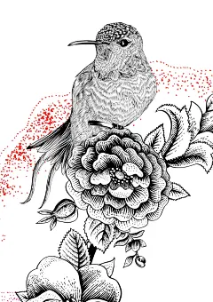 Flower show logo poster Events flower show event art Event Branding flower logo Outdoor Media spring Spring Logo spring events lamp post news paper ad garden show