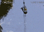  #GIF# #搞笑#