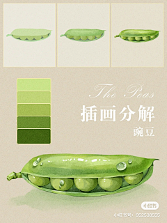 小花儿阳光照采集到绘画技法收集