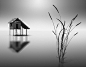 MINIMAL : My latest works...Enjoy