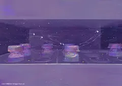 《星星实验室》