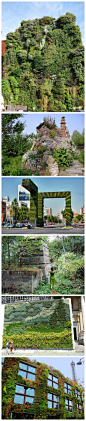 越来越多的城市和建筑开始覆盖上植物，植生墙：功能还是潮流？{更多内容}http://t.cn/zQPsXXg