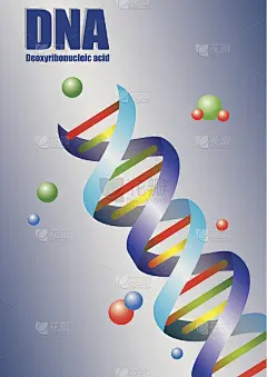 双螺旋DNA在颜色矢量插图