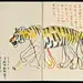 采集图片