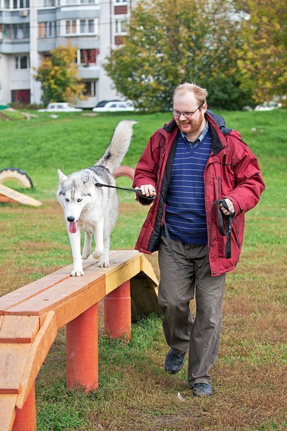 No Dog Park? No Prob...