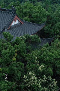 大头定采集到概念