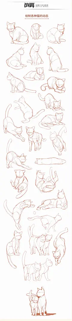 激萌猫咪的绘画教程~喵喵喵 How to draw a cute kitty！, chen zhan : 教你如何画激萌猫咪
从猫的身体结构到动态