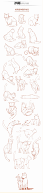 激萌猫咪的绘画教程~喵喵喵 How to draw a cute kitty！, chen zhan : 教你如何画激萌猫咪从猫的身体结构到动态