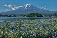 siind369采集到场景_素材