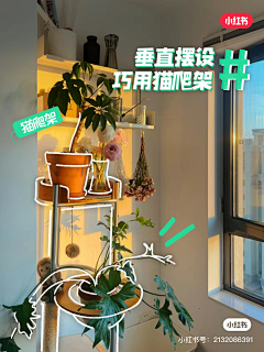 JANGKEUNSUK🌸采集到插画创意图片海报