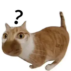 抽象猫猫表情包 - 小红书