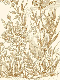 原创插画 | 花蝶传“声”_5_花椒的Alex_来自小红书网页版