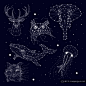 星座图大象猫头鹰鹿鲸水母狐狸星星矢量图形设计素材Set of constellation :  