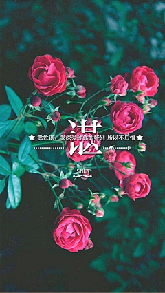 随风去~采集到X 姓氏