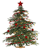 christmas_tree_png_stock_by_jumpfer_stock-d6wqhfr.png (1024×1223)