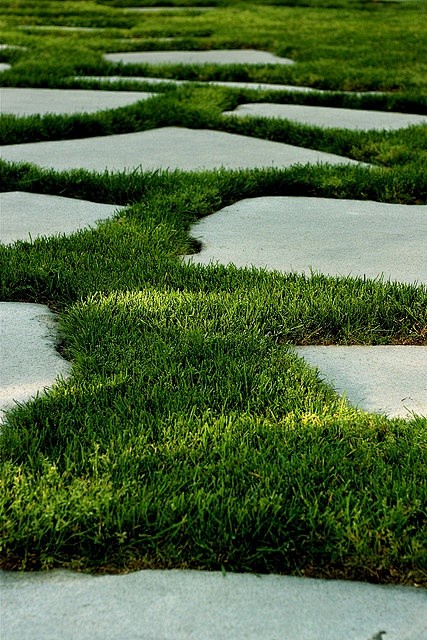 嵌草景观铺装意向图