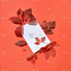 贺卡与红叶和空白纸。