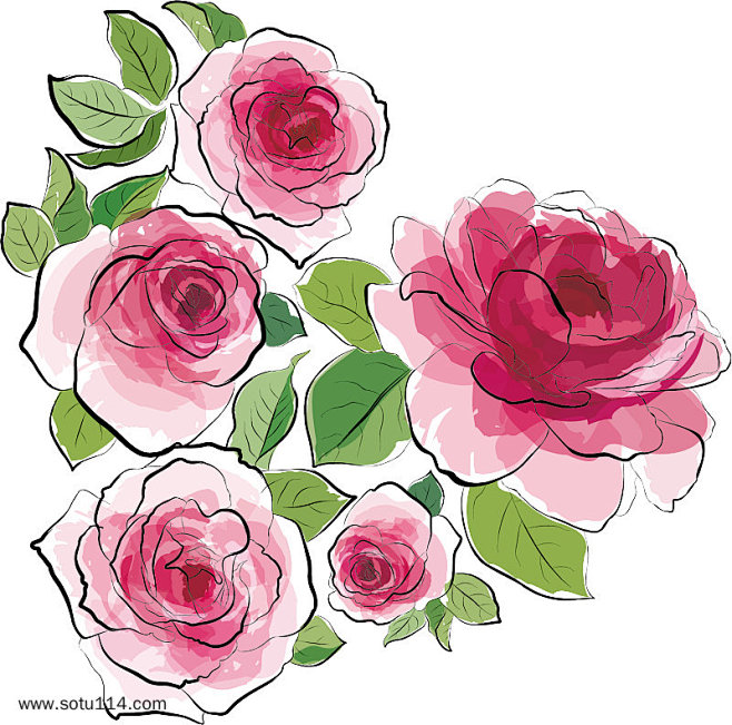 玫瑰花水彩插画情人节装饰元素