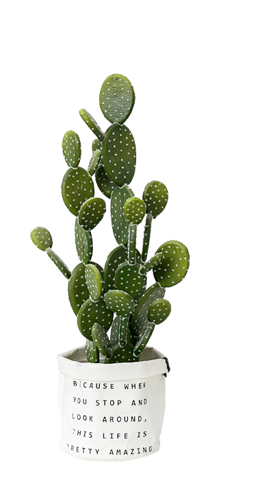 盆栽png (8)