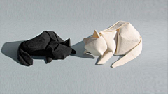 刘昕苒采集到折纸动物