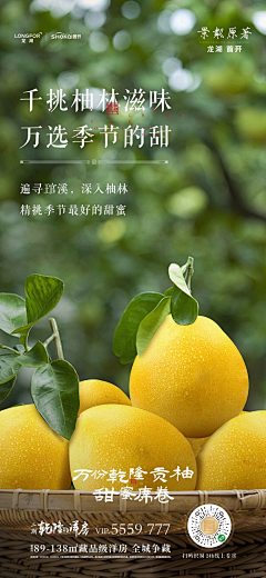 紫风铃!!!采集到场景情感设计
