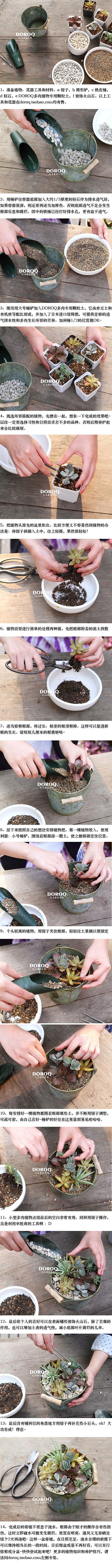 #Doroq种植特集#细致到每一步操作都...