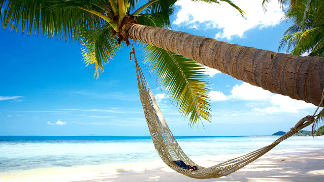 海滩,椰树,吊床,蓝色大海天空风景桌面壁...