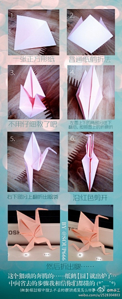 莪媞國寳采集到纸艺