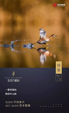 做阳光的我采集到节日节气