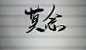 那些年来自屠宰场的字