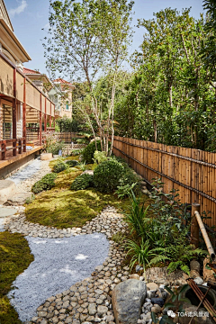 landscaper-采集到庭院-日式