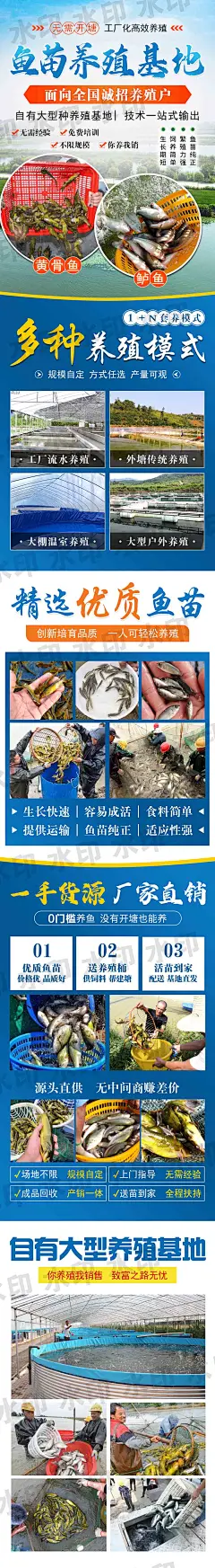 黄骨鱼+鲈鱼（百度）水印