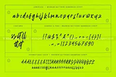 潮流毛笔书法手写体笔刷logo标识杂志请帖海报标题草书英文字体下载_颜格视觉