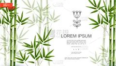 自然,绿色,热带灌木,背景,计划书,壁纸,植物群,枝繁叶茂,模板,草
