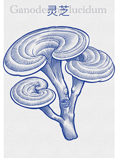 仔仔er采集到插画