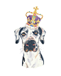 Original Dog Watercolor Painting Great Dane by WaterInMyPaint