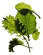 GREENS
