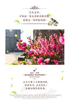 言若_Nuo采集到原创作品-地产微信稿