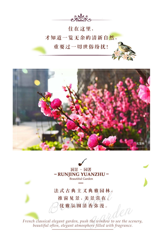 润景园著-4.21公众号配图-世界地球日...