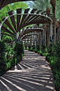 #花园设计#景观廊道，花园里最具设计理念的地方。