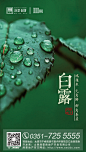 白露单帧